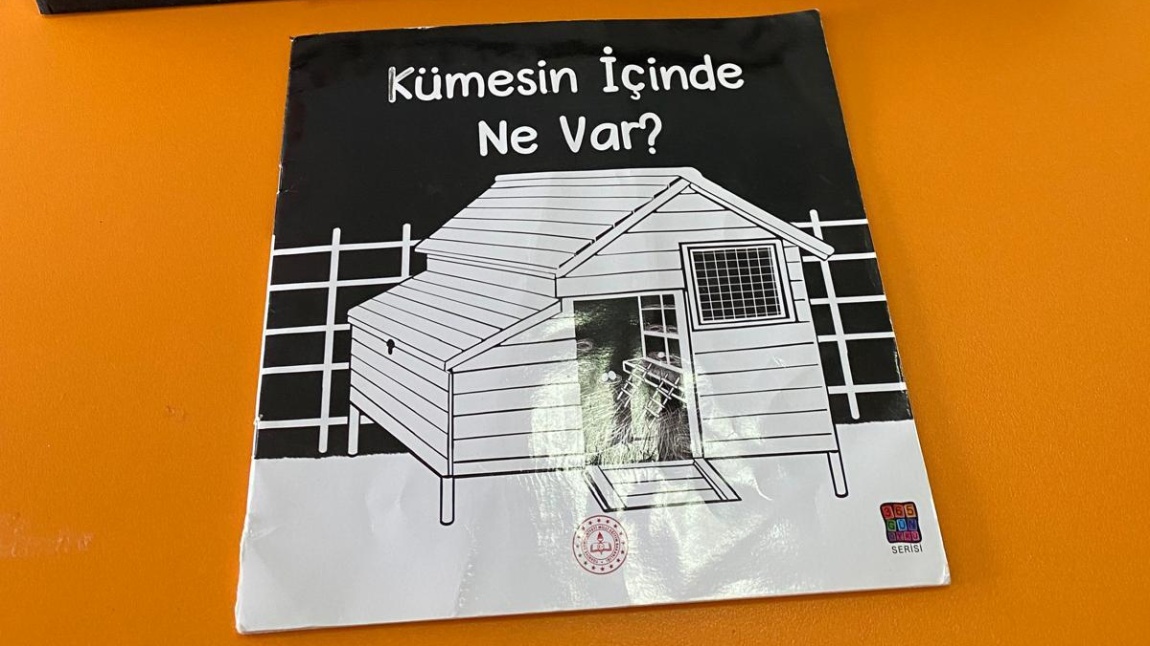 Kümsein İçinde Ne Var?